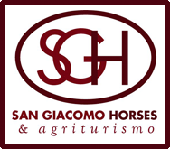 EN – San Giacomo Horses
