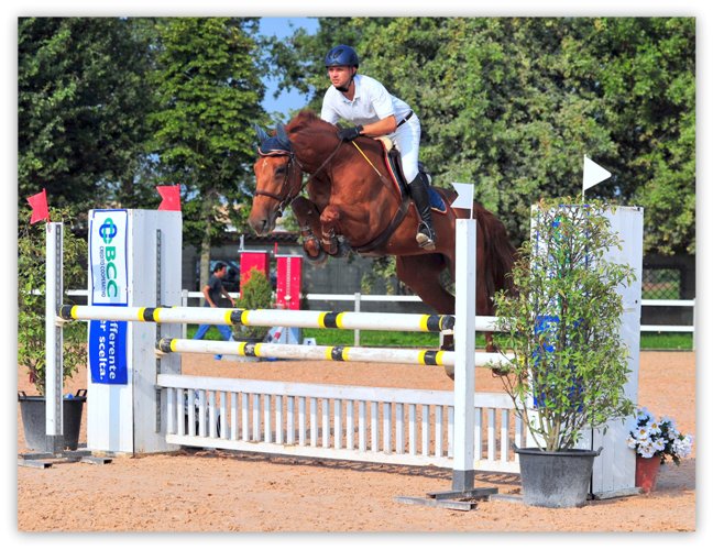 *** Local Caption *** Leon d'Oro - Truccazzano (MI)